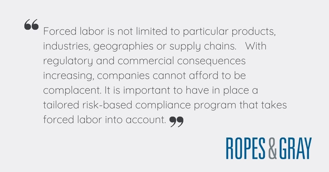 9 Experts On How Companies Can Fight Forced Labor In Supply Chains